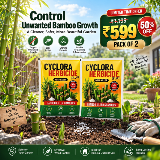 Cyclora Bamboo Killer Herbicide Granules – Pack of 2